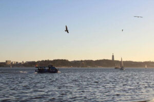 Image of river in Lisbon with boat containing digital nomads in Portugal on a sunset boat trip, seagulls flying, GetNif