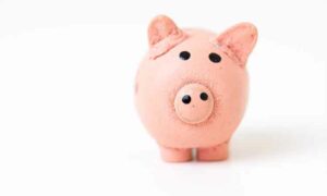 Image of a pink piggybank against white background, tax management services Portugal | GetNif